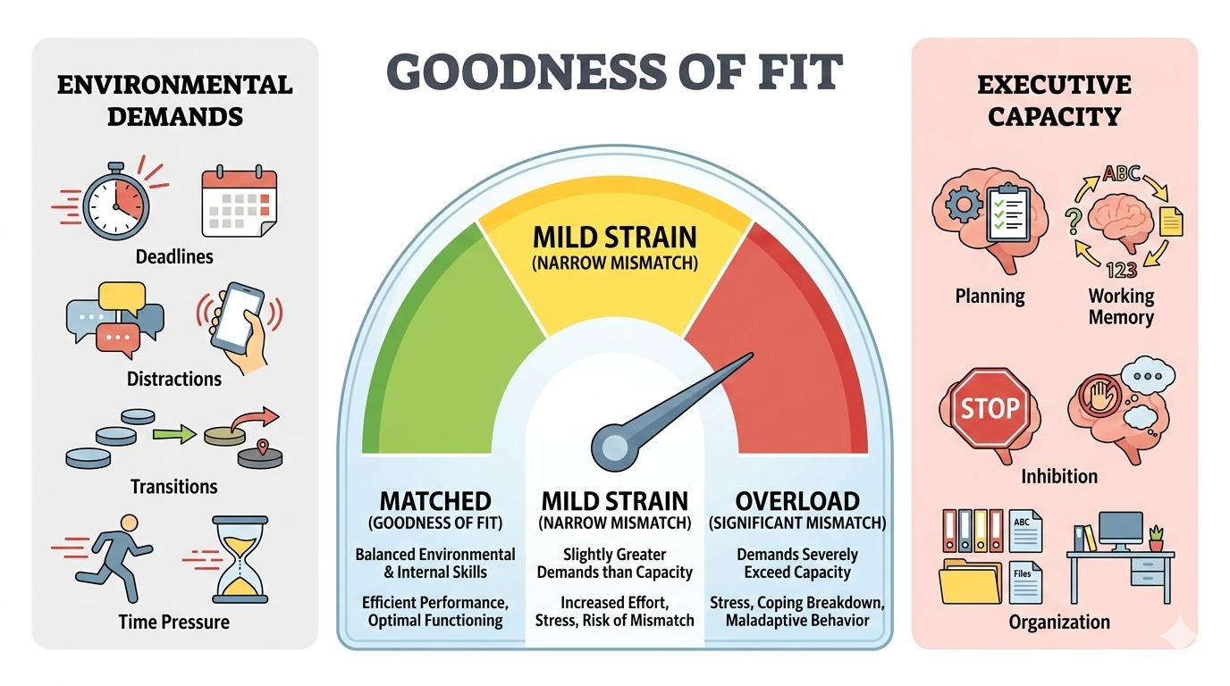 Goodness of Fit diagram showing the relationship between executive skills and environmental demands